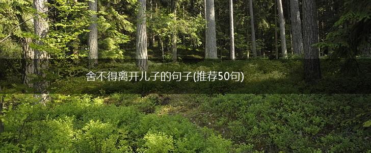 舍不得离开儿子的句子(推荐50句),第1张