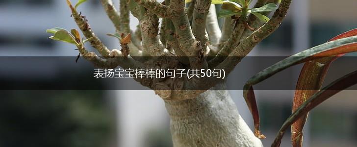 表扬宝宝棒棒的句子(共50句),第1张