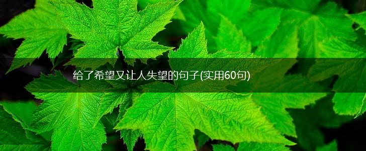 给了希望又让人失望的句子(实用60句),第1张