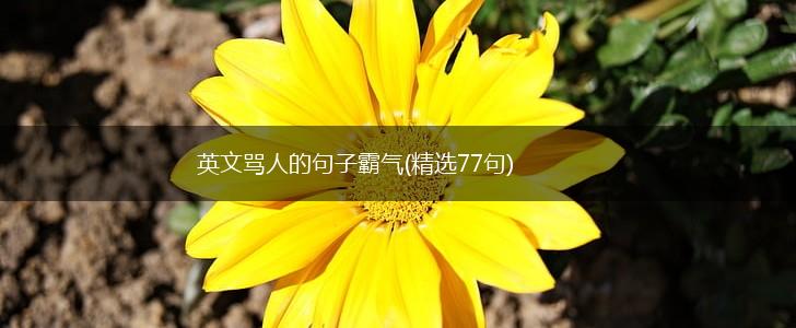英文骂人的句子霸气(精选77句),第1张