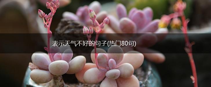 表示天气不好的句子(热门80句),第1张