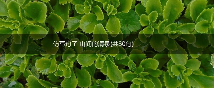 仿写句子 山间的清泉(共30句),第1张