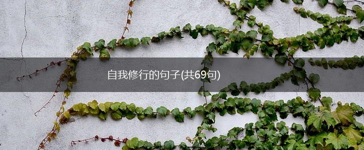 自我修行的句子(共69句),第1张