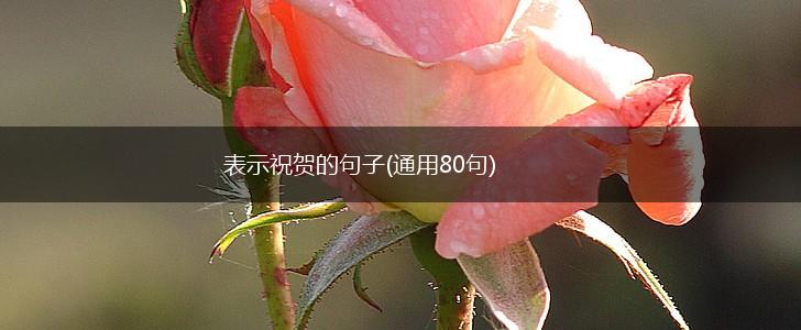 表示祝贺的句子(通用80句),第1张