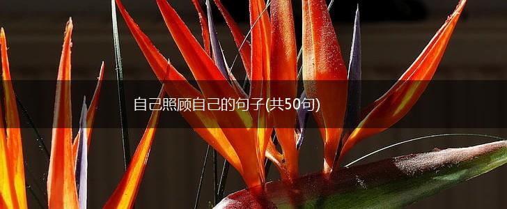 自己照顾自己的句子(共50句),第1张