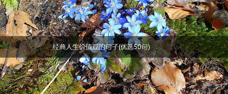 经典人生价值观的句子(优选50句),第1张
