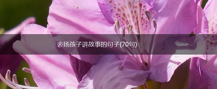 表扬孩子讲故事的句子(70句),第1张