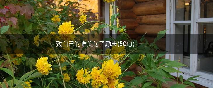 致自己的唯美句子励志(50句),第1张