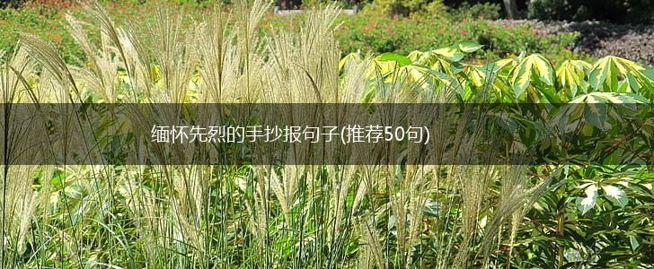 缅怀先烈的手抄报句子(推荐50句),第1张