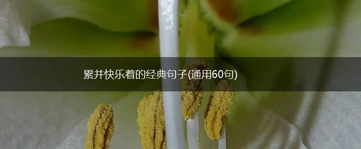 累并快乐着的经典句子(通用60句),第1张