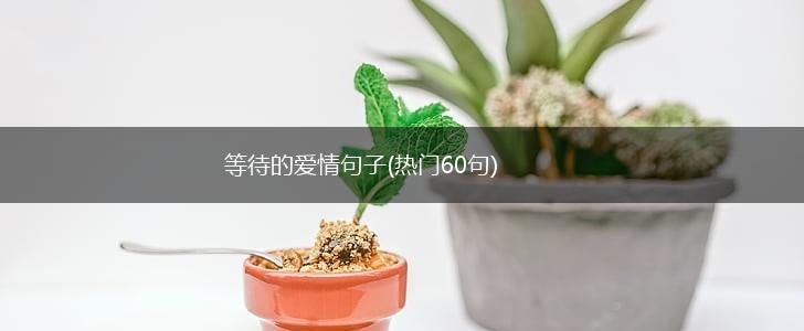 等待的爱情句子(热门60句),第1张