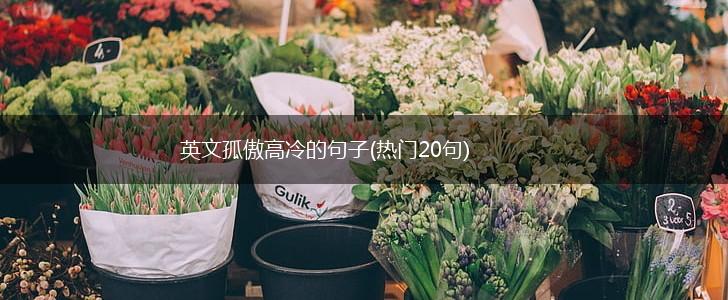 英文孤傲高冷的句子(热门20句),第1张