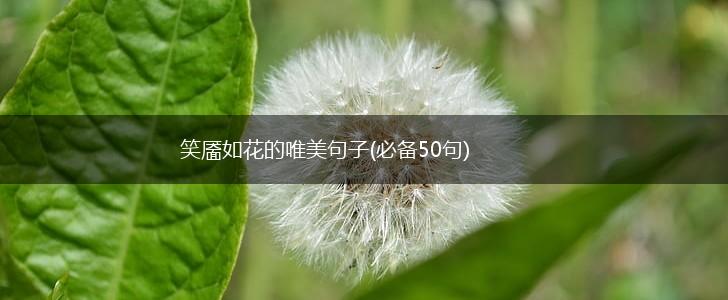 笑靥如花的唯美句子(必备50句),第1张