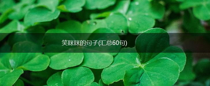 笑眯眯的句子(汇总60句),第1张