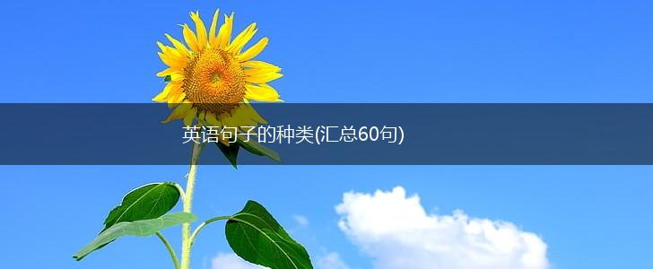 英语句子的种类(汇总60句),第1张