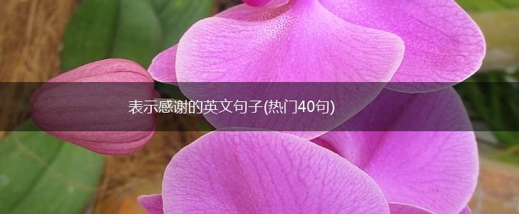 表示感谢的英文句子(热门40句),第1张