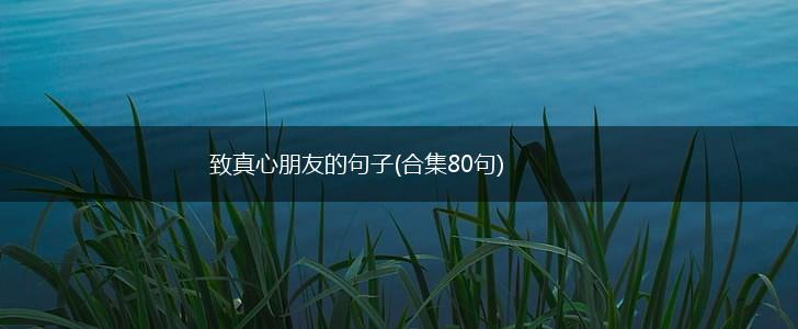 致真心朋友的句子(合集80句),第1张