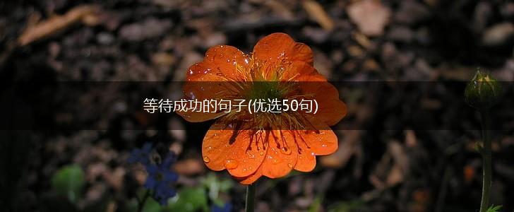 等待成功的句子(优选50句),第1张