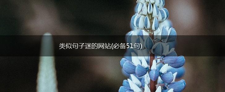 类似句子迷的网站(必备51句),第1张