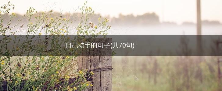 自己动手的句子(共70句),第1张