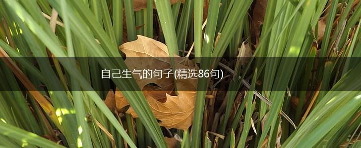 自己生气的句子(精选86句),第1张