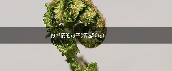 份感情的句子(精选50句),第1张
