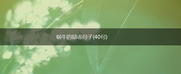 蜗牛的励志句子(40句),第1张
