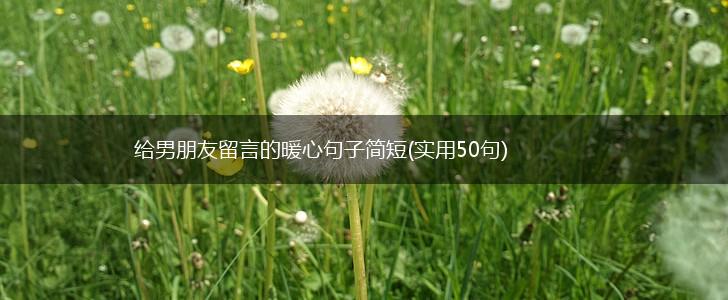 给男朋友留言的暖心句子简短(实用50句),第1张
