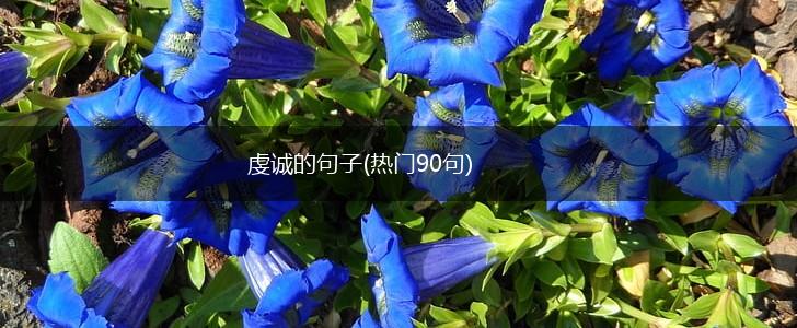 虔诚的句子(热门90句),第1张