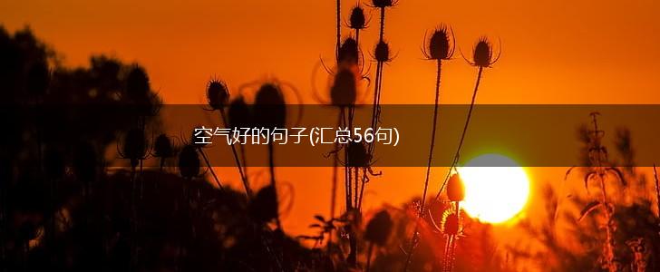 空气好的句子(汇总56句),第1张