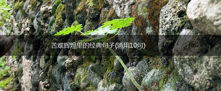 苦难辉煌里的经典句子(通用10句),第1张