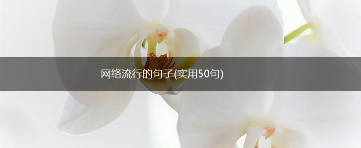 网络流行的句子(实用50句),第1张