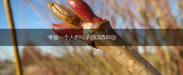 考验一个人的句子(实用50句),第1张