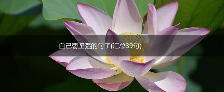 自己要坚强的句子(汇总39句),第1张
