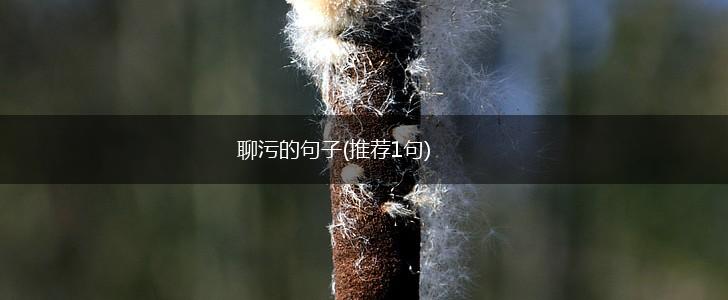 聊污的句子(推荐1句),第1张
