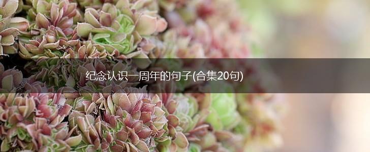 纪念认识一周年的句子(合集20句),第1张