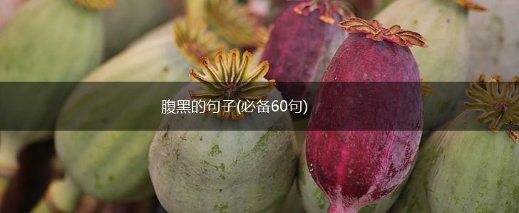 腹黑的句子(必备60句),第1张