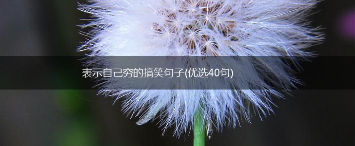 表示自己穷的搞笑句子(优选40句),第1张