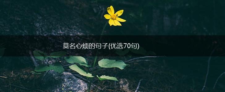 莫名心烦的句子(优选70句),第1张