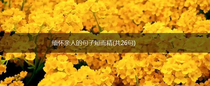 缅怀亲人的句子短而精(共26句),第1张