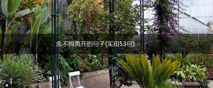 舍不得离开的句子(实用53句),第1张