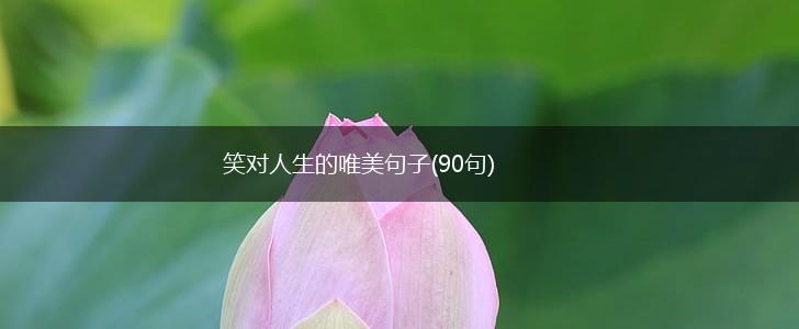 笑对人生的唯美句子(90句),第1张