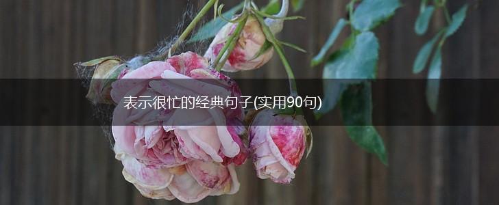 表示很忙的经典句子(实用90句),第1张