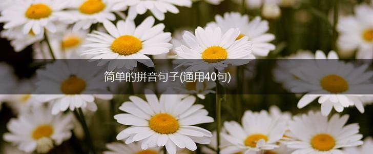 简单的拼音句子(通用40句),第1张