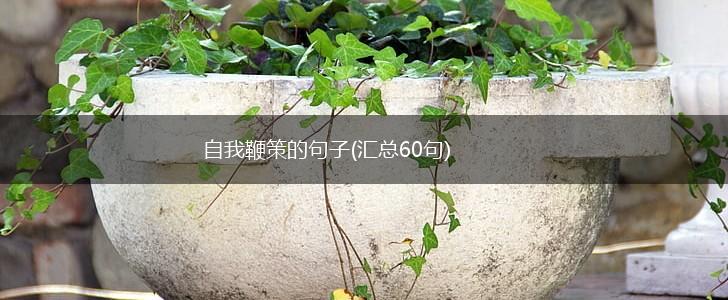 自我鞭策的句子(汇总60句),第1张