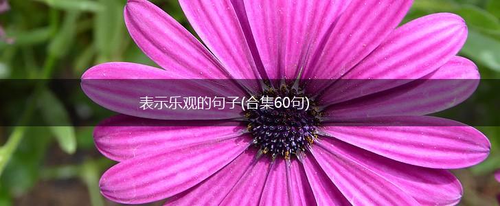 表示乐观的句子(合集60句),第1张