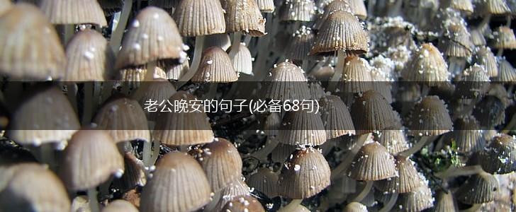 老公晚安的句子(必备68句),第1张