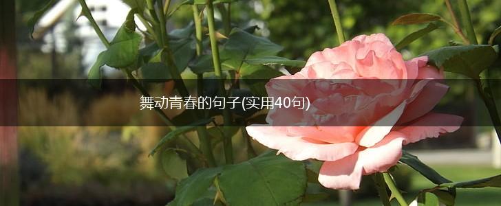舞动青春的句子(实用40句),第1张