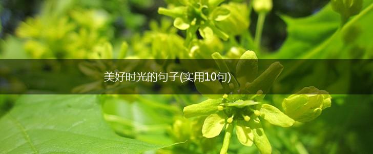 美好时光的句子(实用10句),第1张