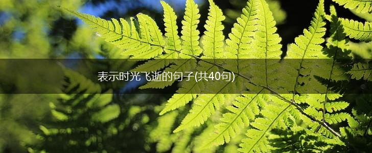 表示时光飞逝的句子(共40句),第1张